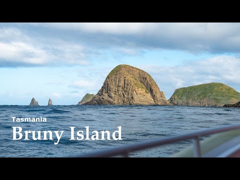 Bruny Island Cruise